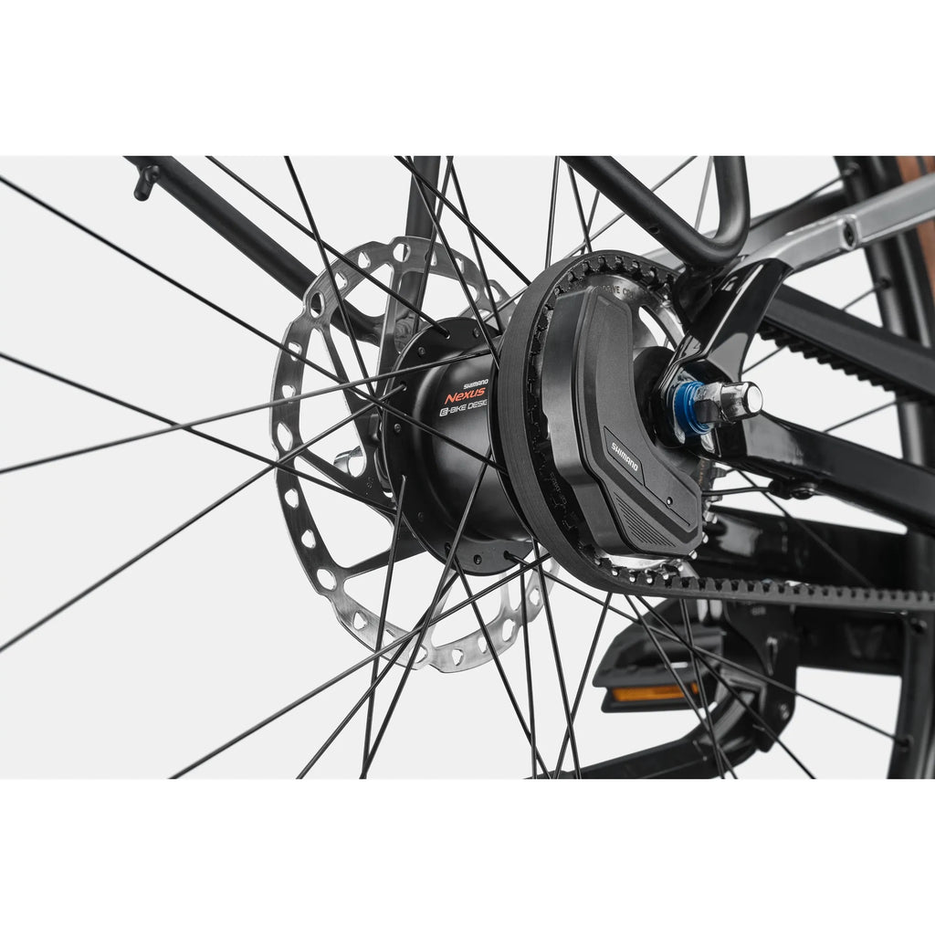 Cannondale FlyingV 1