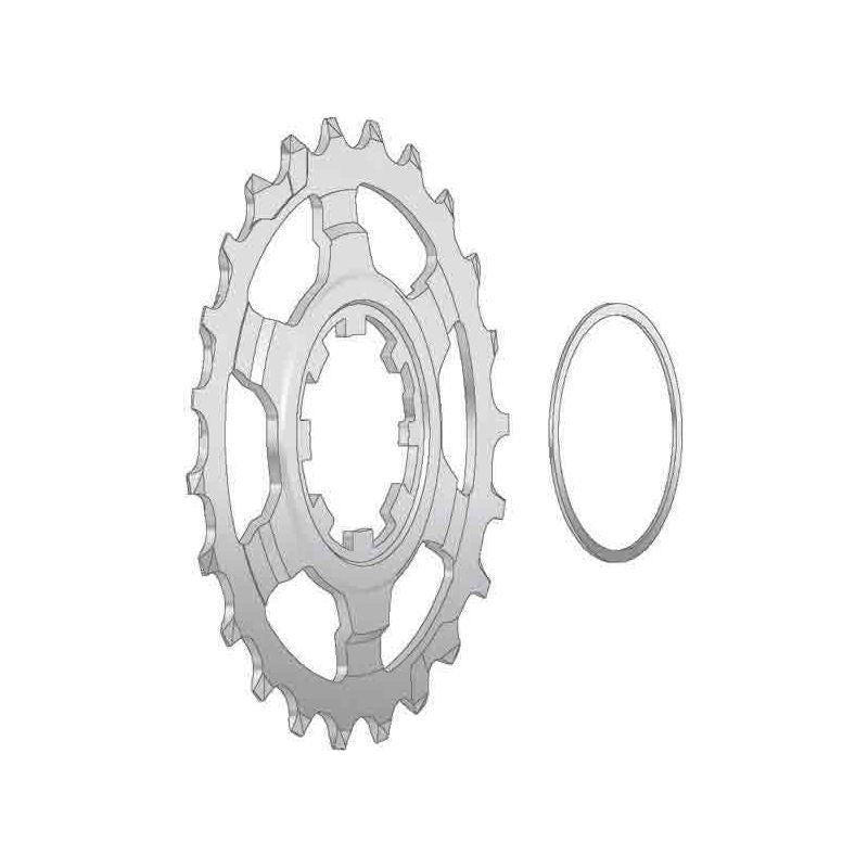 Miche Campagnolo rapporte
