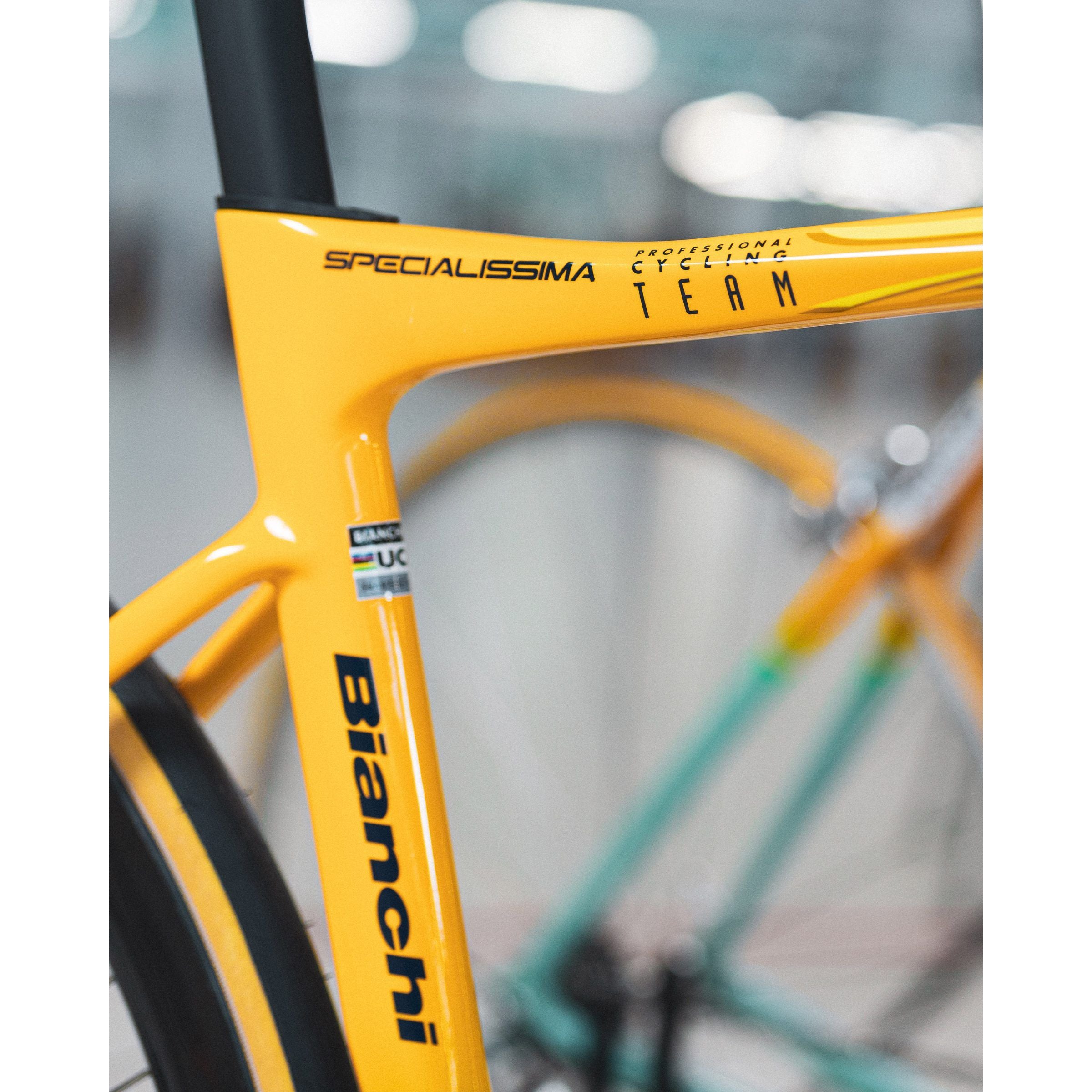 Bianchi Specialissima RC Pantani Edizione Limitata